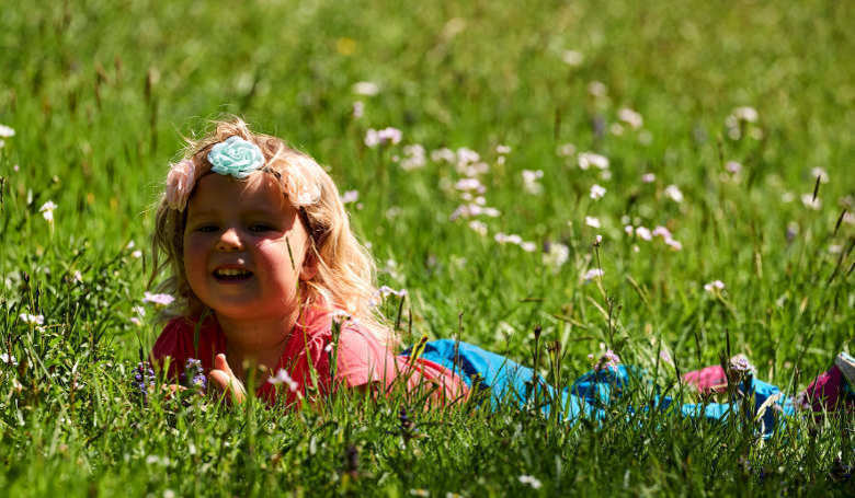 Frühling im ARBERLAND.