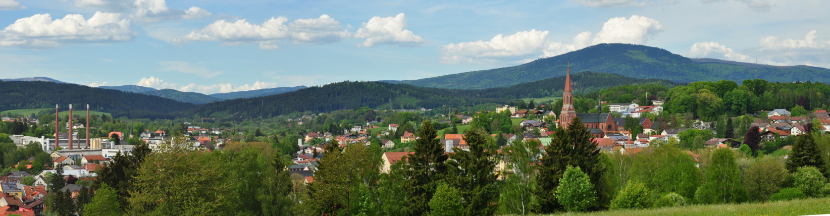 Zwiesel im Sommer