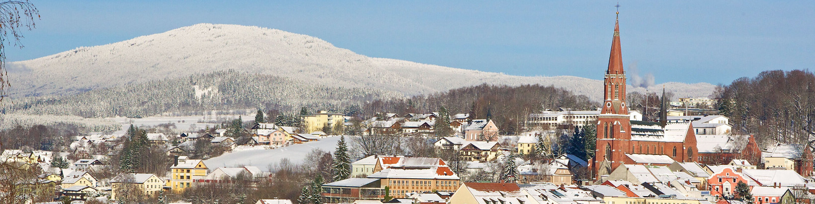 Zwiesel im Winter