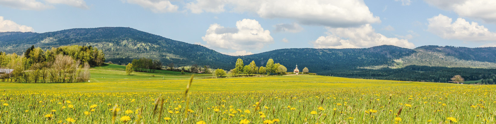 HEIMAT.gefühl