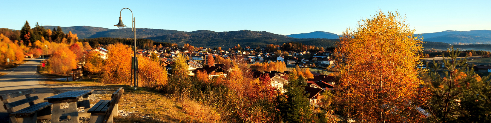 Ortsansicht Langdorf