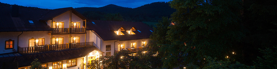 Rothbacher Hof in Bodenmais bei Nacht.