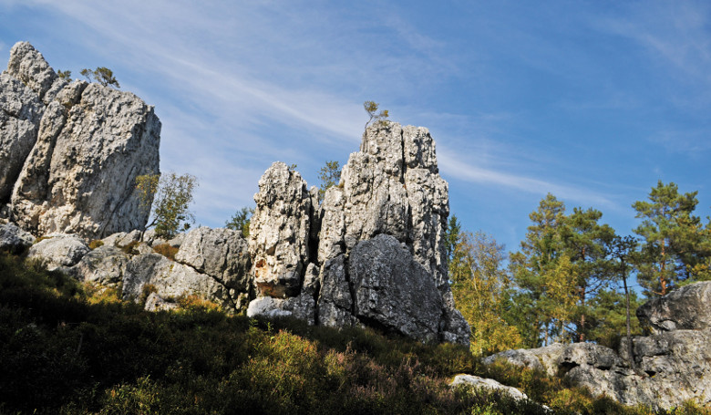 NATUR.gefühl am Großen Pfahl