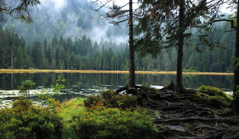 Naturerlebnis am Arbersee