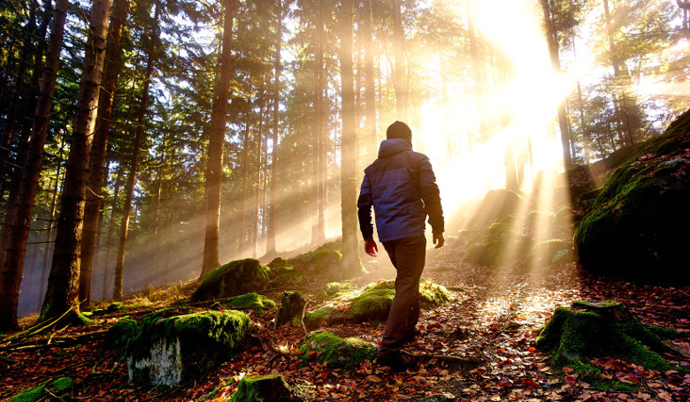 WohlfühlWandern im ARBERLAND