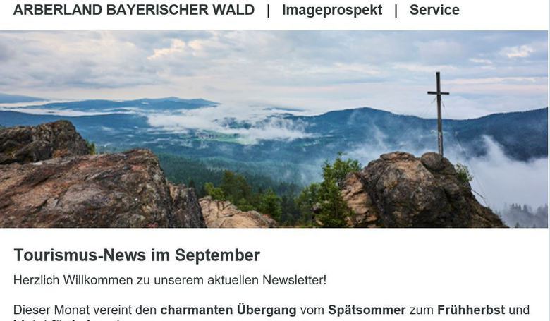 Screenshot vom Newsletter