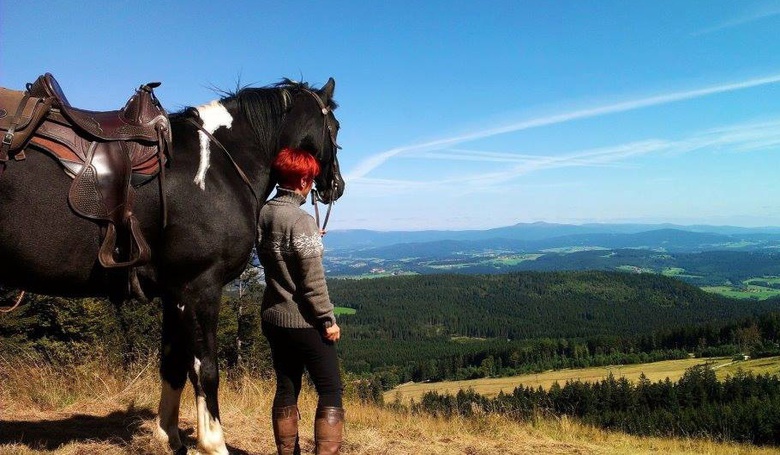 Frau steht mit braun-schwarzem Pferd am Hügel und blickt ins Tal.