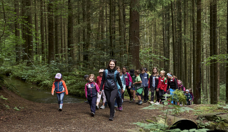 Familienwanderung durch den Wald.