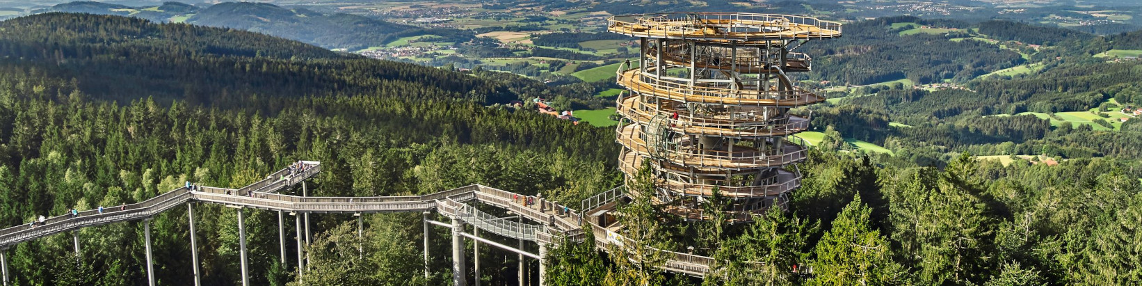 Waldwipfelweg in Sankt Englmar.