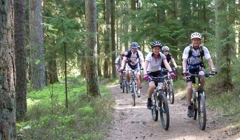 Eine Gruppe von Bikern fahren durch den Wald