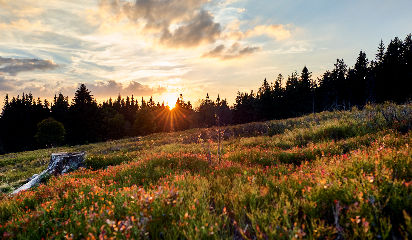 Herbstlicher Sonnenuntergang auf dem Lindberger Schachten