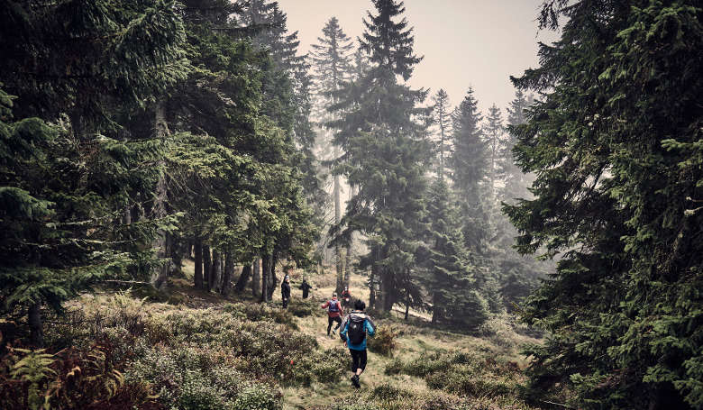 Schnelle Downhills auf den Trails beim ARBERLAND Ultra Trail