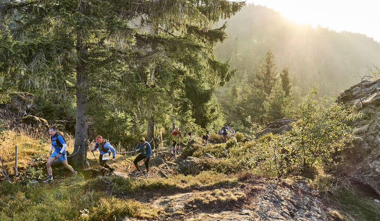 Trailrunner die den Berg durch den Wald besteigen