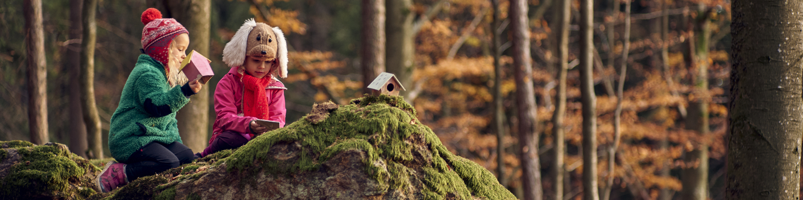 Der Herbstwald - eine endlose Entdeckungsreise für Kinder.