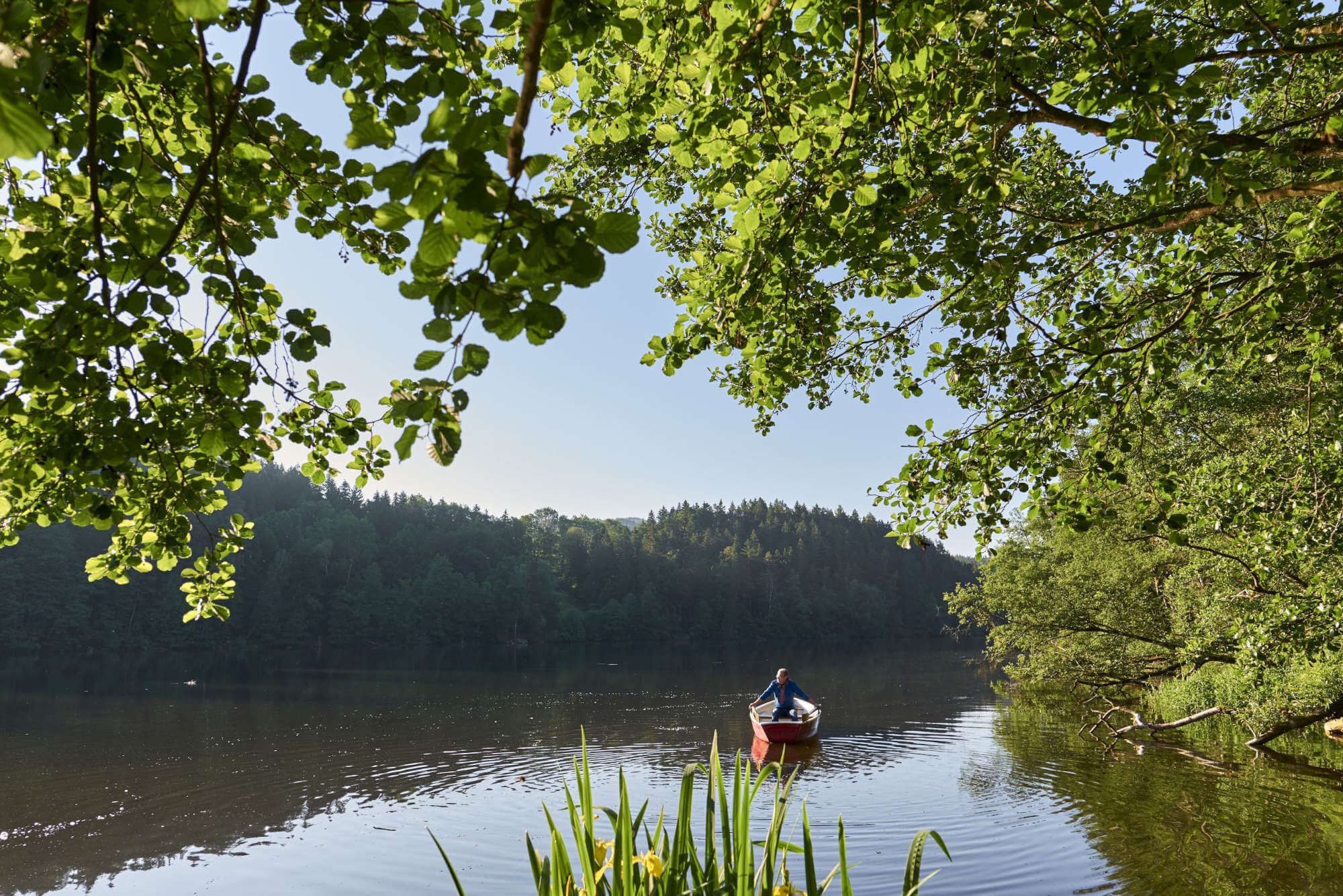 Eine Bootstour am Höllensteinsee, einfach ein Naturerlebnis.